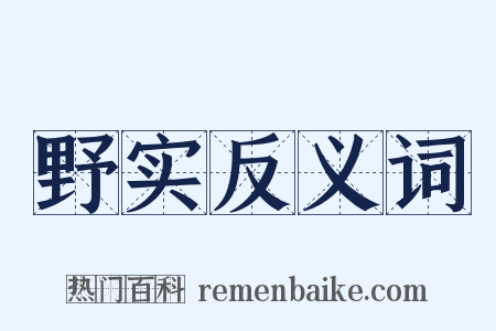 野实反义词是什么意思的图片